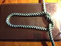 Step 1 of tying Cross constrictor knot: simple knot