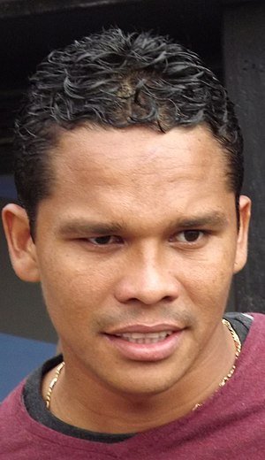 Carlos Bacca: Trayectoria, Selección nacional, Estadísticas