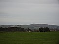Carrick Hills beyond Racecourse