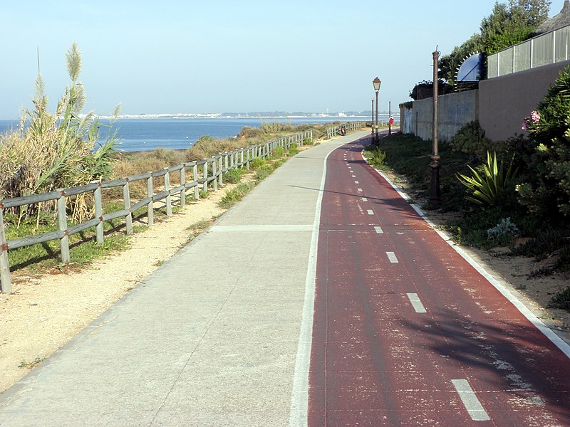 File:Carril bici cerca de Castillo de Santa Catalina - El Puerto - P9270073.jpg