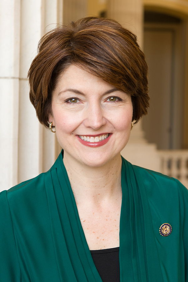 112th Congress portrait, 2011