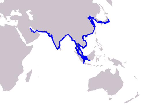 500px-Cetacea_range_map_Finless_Porpoise.PNG