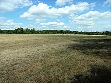 Fotografie color a unei întinderi vaste de iarbă scurtă mărginită în depărtare de copaci.