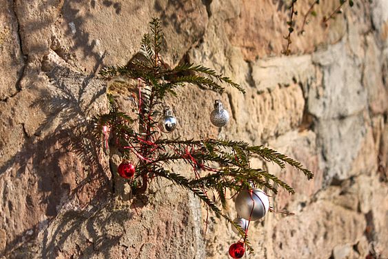 Christmas tree in the wall - Christbaum in der Mauer