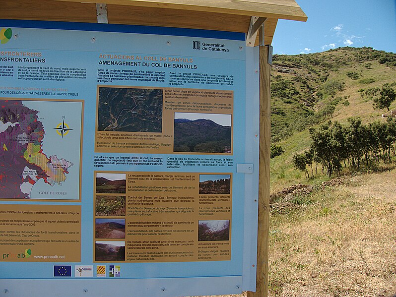 File:Coll de Banyuls 2011 08.jpg