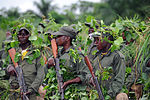 Миниатюра для Вооружённые силы Демократической Республики Конго
