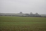 Thumbnail for File:Countryside by Back Lane - geograph.org.uk - 2309352.jpg