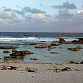 Cozumel - panoramio (5).jpg