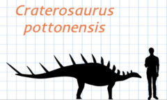 Craterosaurus size comparison.png