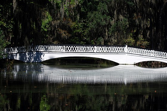 Cypress Lake Charleston County South Carolina USA