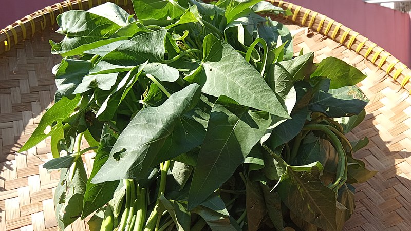 File:Daun Kangkung.jpg