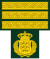 Dinamarca-Ejército-OR-3-M69 (manga) .svg