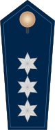 Insignias of a Polizehauptkommissar