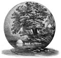 Die Gartenlaube (1897) b 812.jpg Der Chingachgookfelsen am Südende des Otsegosees (Rudolf Cronau)