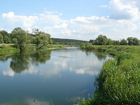 Берегу донца. Северский Донец Чугуев. Малый Донец река. Мохнач Харьковская область. Северский Донец Харьковская область Змиев.