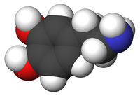 Dopamina-3d-CPK.png