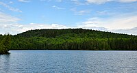 Planina Eagle, Minnesota.jpg