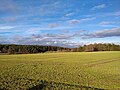 Early spring - Flickr - Stiller Beobachter (3).jpg