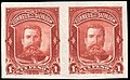 1p essay pair red brown