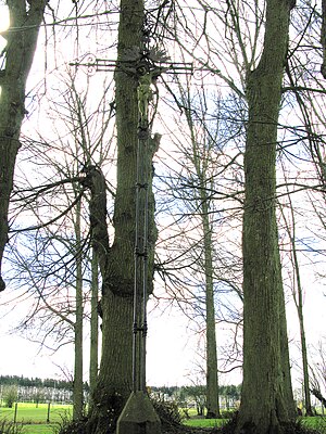 Habiter à Englebelmer