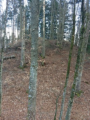 two of the three crests on the castle hill