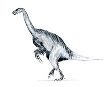 Erlikosaurus feathered.jpg