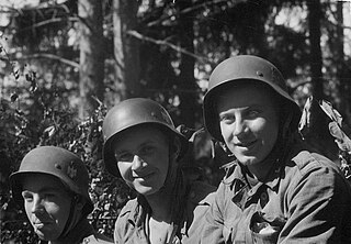 <span class="mw-page-title-main">Finnish Infantry Regiment 200</span> Finnish military unit mostly made up of Estonian volunteers during WW II