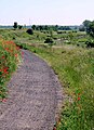 Europaradwanderweg R1 bei Staßfurt