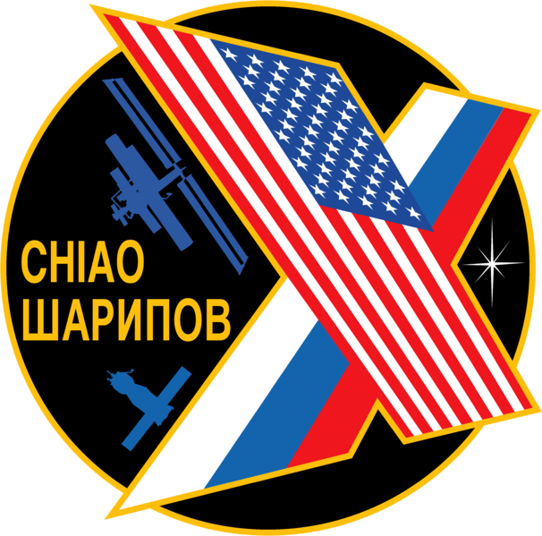 File:Expedition 10 insignia.png