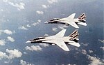 F-14A Tomcats VF-14 in flight in 1977.jpg