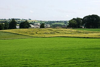 A badly lodged field of barley from a distance Farmland east of Ferns - geograph.org.uk - 1458418.jpg