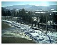 February Minus 10 Grad Celsius Masterview Glottertal Germany - Magic Rhine Valley Photography 2013 - panoramio (1).jpg