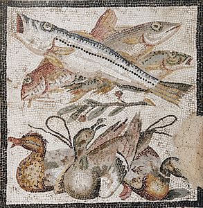 Poissons et oiseaux.