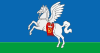 Flag of Sluckas rajons