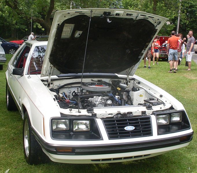 File:Ford Mustang Liftback (Auto classique St-Bruno-De-Montarville VAQ '13).JPG