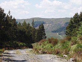 Kehutanan jalan di Sligo Cara - geograph.org.inggris - 487255.jpg