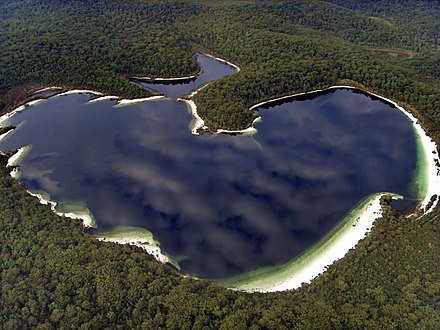 Island lake. Озеро Фрейзер Австралия. Остров Фрейзер висячие озера. Озеро Маккензи Австралия. Остров Фрейзер, Квинсленд, Австралия.