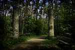 Vorschaubild für Hochgericht Steinheim