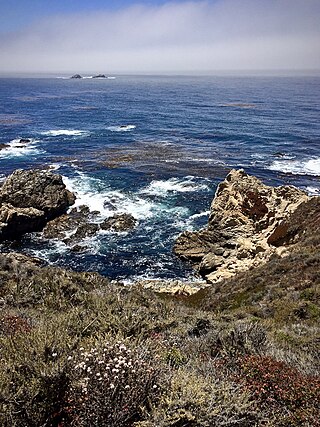 <span class="mw-page-title-main">Garrapata State Park</span> State park in California, United States