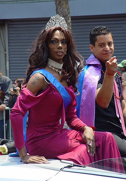 File:Gay Parade 2008 in San Francisco (3).jpg