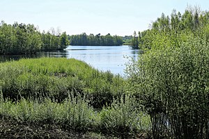 Geeste - Osterbroker Straße - Biotop 08 ies.jpg