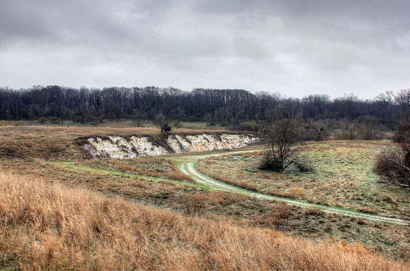 File:Gfp-illinois-shabbona-lake-state-park-landscape.jpg