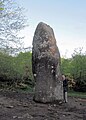 Menhir von Manio, der "Gigant"