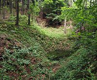 Säulensandstein am Gohrisch