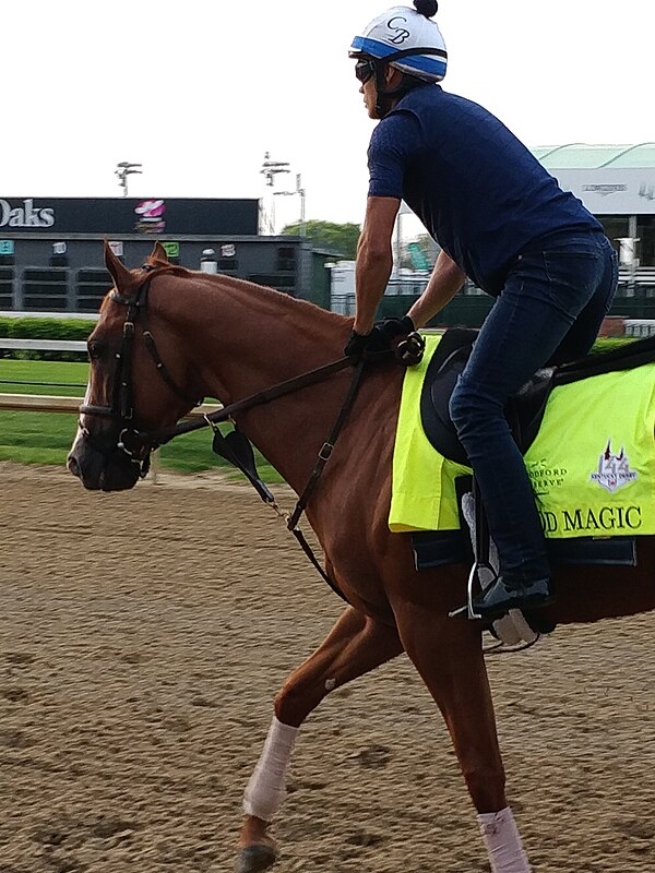 Good Magic training before the Kentucky Derby