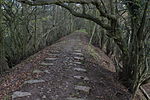 Thumbnail for List of tramroads in South Wales