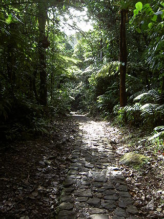 <span class="mw-page-title-main">Guadeloupe National Park</span> French national park in Guadeloupe