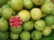 Guavafrukter från Bangalore