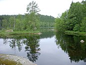 Vasselsjön sommaren 2009