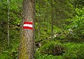 * Nomination The typical trail mark of Austrian hiking trails in Gesäuse, Austria --Domob 10:50, 30 June 2020 (UTC) * Promotion  Support good composition --Carschten 10:54, 30 June 2020 (UTC)